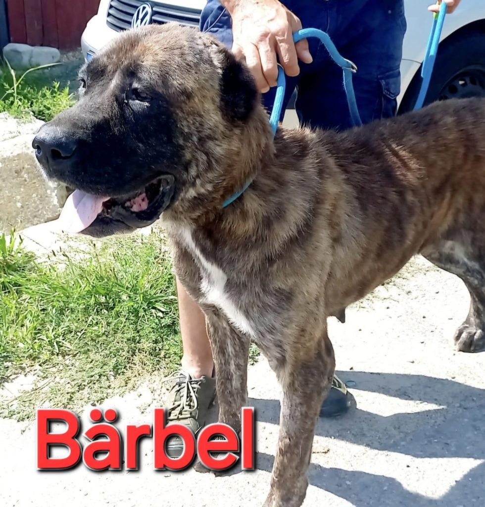 Bärbel