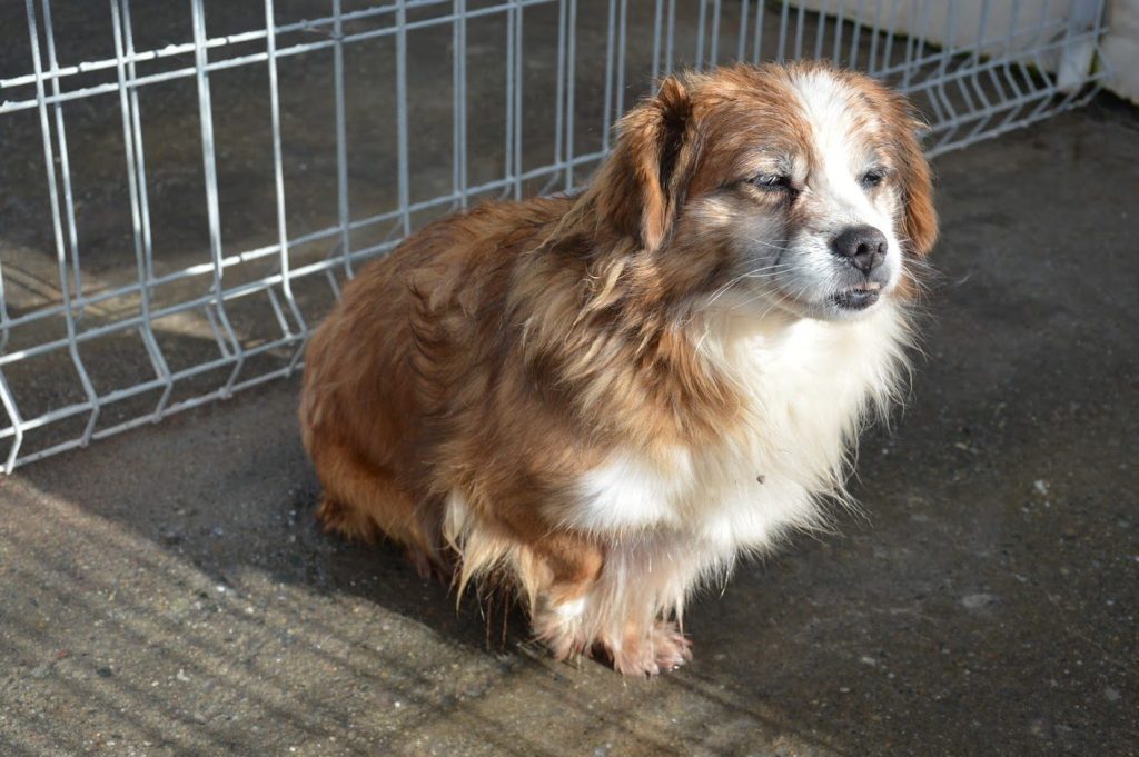 Charlie